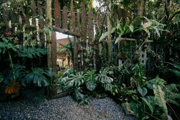 Harmony Garden - Home And Coffee Хюе Екстер'єр фото
